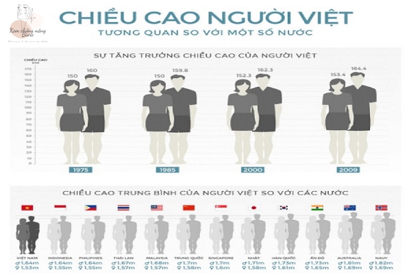 Bảng chiều cao cân nặng của người Việt so với thế giới