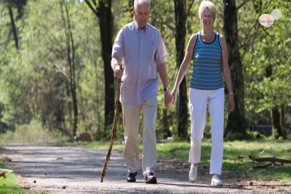 Tác dụng của đi bộ giúp chống bệnh mạn tính