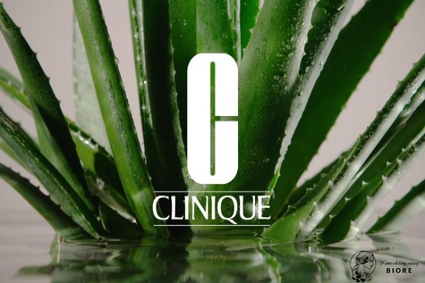Clinique được biết đến là một thương hiệu mỹ phẩm rất nổi tiếng đến từ Mỹ