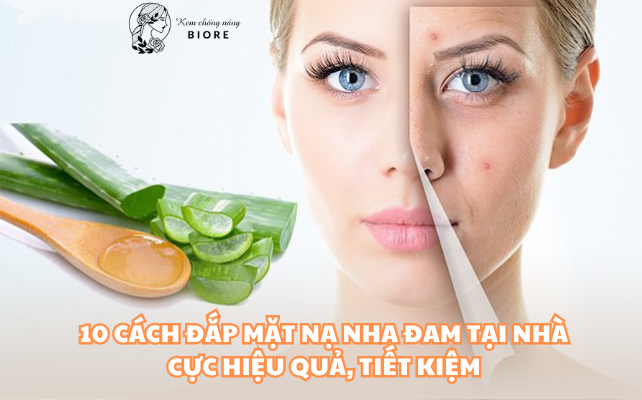 10 cách đắp mặt nạ nha đam tại nhà cực hiệu quả, tiết kiệm