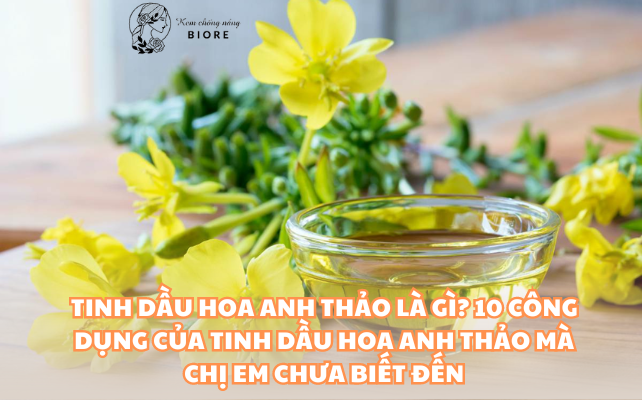 Tinh Dầu Hoa Anh Thảo Là Gì? 10 Công Dụng Của Tinh Dầu Hoa Anh Thảo Mà Chị Em Chưa Biết Đến